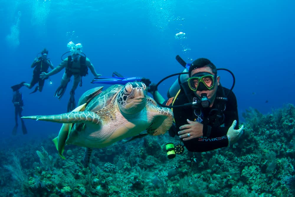 Little French Key - 2